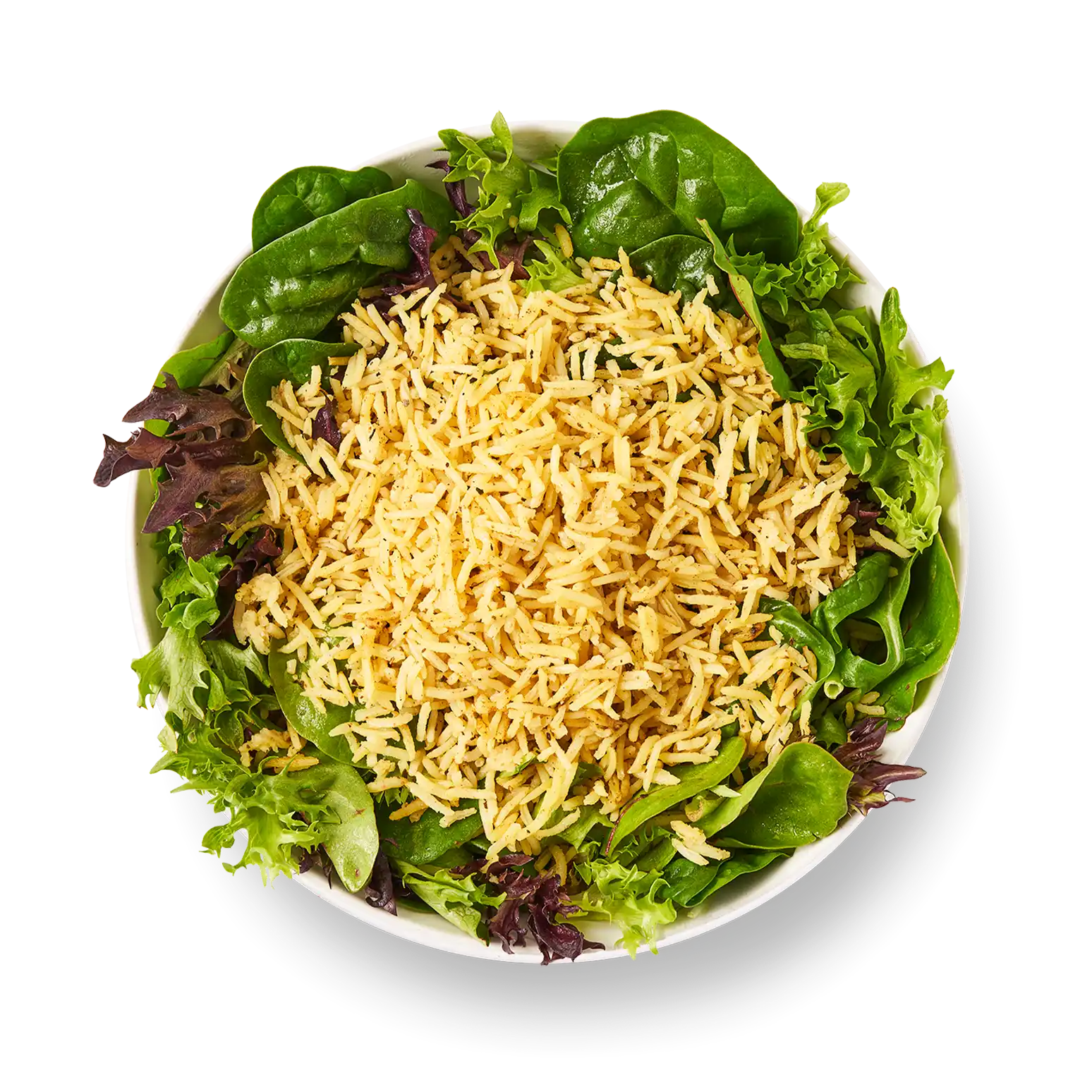 Menu – Rōti Modern Mediterranean